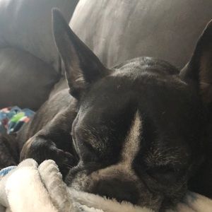 Meet your Posher, Jamie